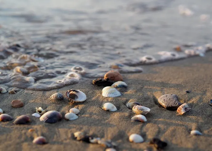 Enjoy Your In Our Cozy Bright Flat *